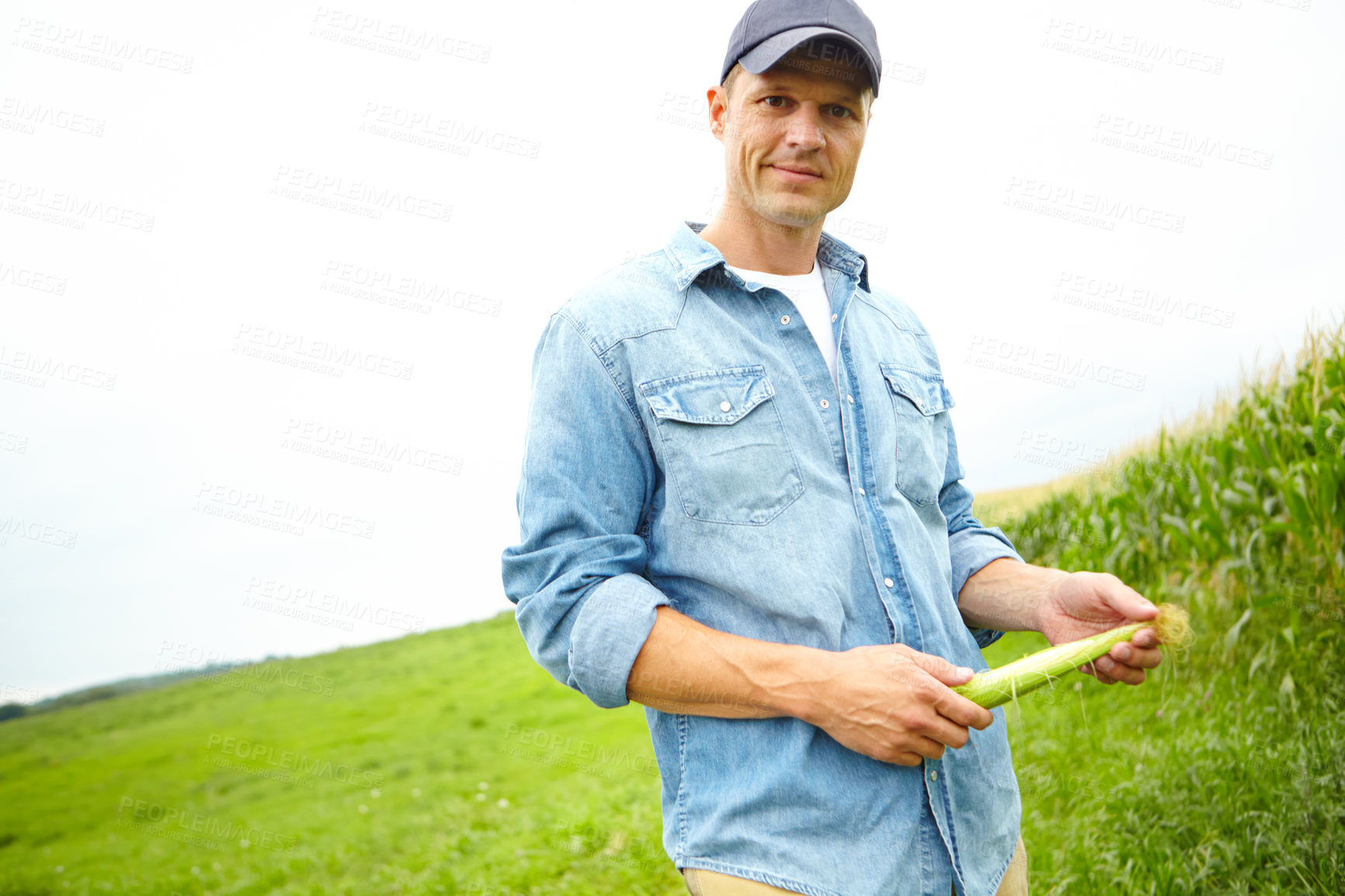 Buy stock photo Man, agriculture and portrait with maize crop for growth, development or quality assurance in countryside. Person, farmer and corn production on field for check, inspection or vegetables in Argentina