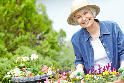 Buy stock photo Gardening, portrait and old woman with smile, outdoor and growth of flowers, happy or environment. Plants, summer and senior person in nature, cheerful and eco friendly for ecology, hat or California