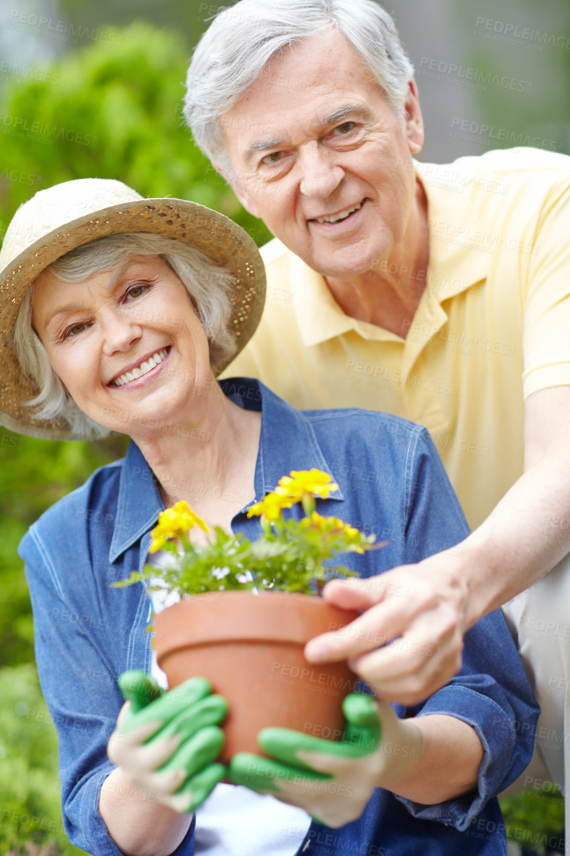 Buy stock photo Senior couple, portrait and outdoor gardening in retirement, love and care for flowers in nature. Elderly people, plants and activity for bonding in countryside, eco friendly hobby and pot in Berlin