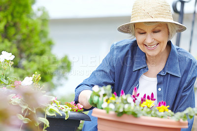 Buy stock photo Gardening, plants and spring with senior woman outdoor with flowers, bushes and yard for retirement hobby. Nature, zen and smile with elderly person for landscaping, botany and happy at home or house