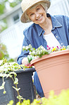 Her flowers are all in bloom!