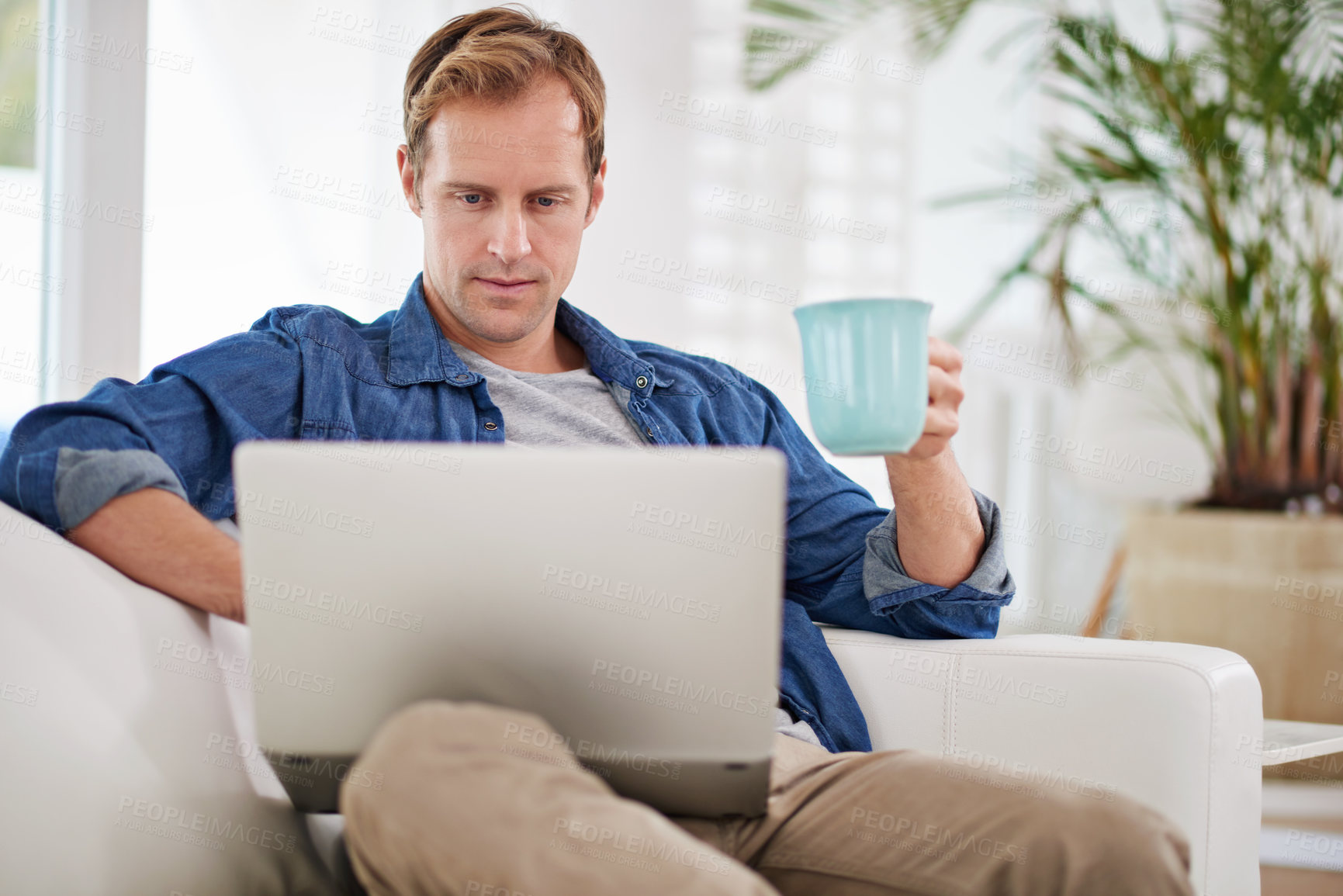 Buy stock photo Home, coffee and man with laptop on sofa for remote work, communication and reading job website. Living room, person and technology with internet in morning for freelance email, planning and review