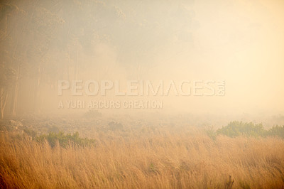 Buy stock photo Shot of a wild fire burning in the distance