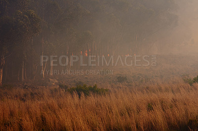 Buy stock photo Wild fire, grass and environment with emergency, burning and nature with smoke, forest and emergency. Outdoor, empty and woods with trees, landscape and flames with natural disaster, hazard and risk