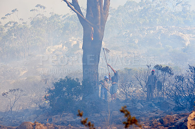 Buy stock photo Shot of fire fighters combating a wild fire