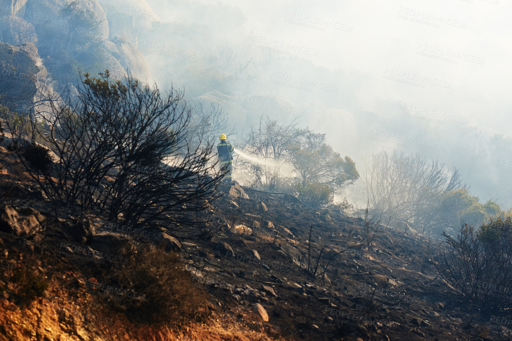 Buy stock photo Wild fire, firefighter and environment with emergency, burning and nature with smoke, forest and chaos. Outdoor, person or woods with trees, landscape or flames with natural disaster, plants or risk