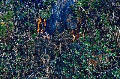 Buy stock photo Wild fire, plants and environment with emergency, burning and nature with smoke, hazard and accident. Outdoor, empty and woods with risk, landscape and flames with natural disaster and danger zone