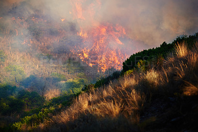 Buy stock photo Wild fire, plants and environment with emergency, smoke and nature with grass forest and emergency. Outdoor, empty and woods with risk, landscape and flames with natural disaster, hazard and chaos