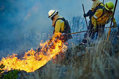 Buy stock photo Smoke, forest and firefighter team with emergency, disaster management and damage control in bush. Mountain, flame and people help with fire rescue, volunteer service or safety in nature conservation