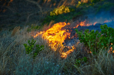 Buy stock photo Wild fire, flames and dry season with environment, danger and nature with smoke, forest and burn. Outdoor, empty and woods with trees, landscape and risk with natural disaster, field and emergency