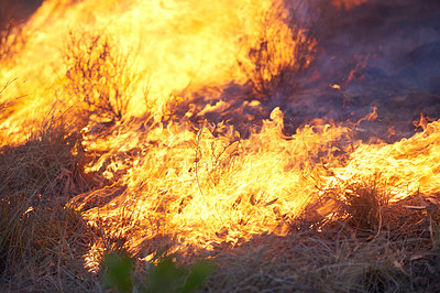 Buy stock photo Wild fire, grass and environment with flames, burning and nature with smoke, forest and emergency. Outdoor, empty and woods with trees, landscape and risk with natural disaster, hazard and damage