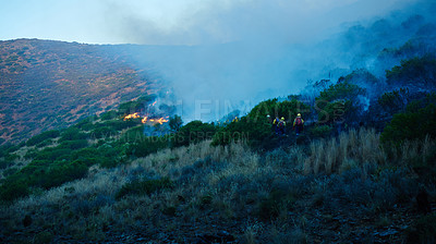 Buy stock photo Wild fire, grass and environment with emergency, danger and nature with smoke, forest and burn. Outdoor, empty and woods with trees, landscape and flames with natural disaster, hazard and risk