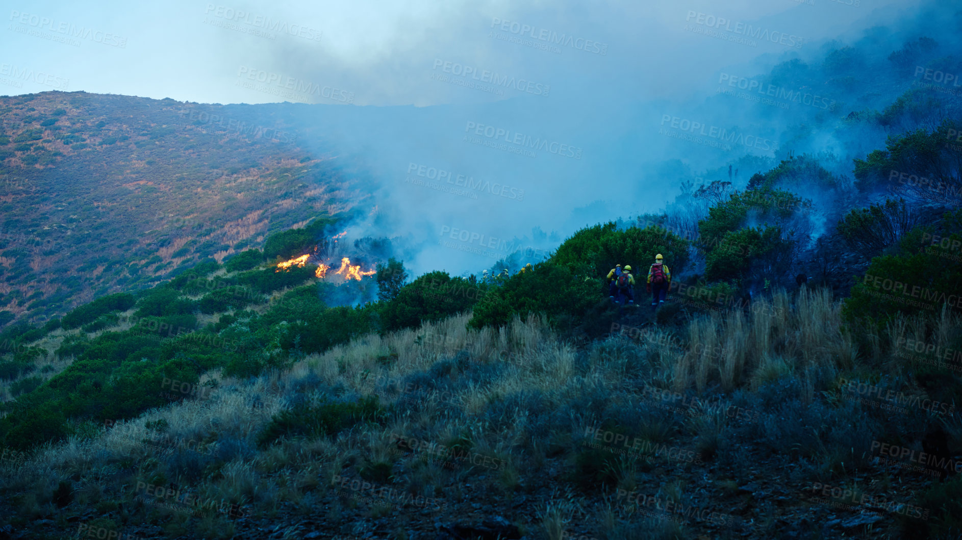 Buy stock photo Wild fire, grass and dry season with environment, risk and nature with smoke, forest and burn. Outdoor, empty and woods with trees, landscape and flames with natural disaster, field and emergency