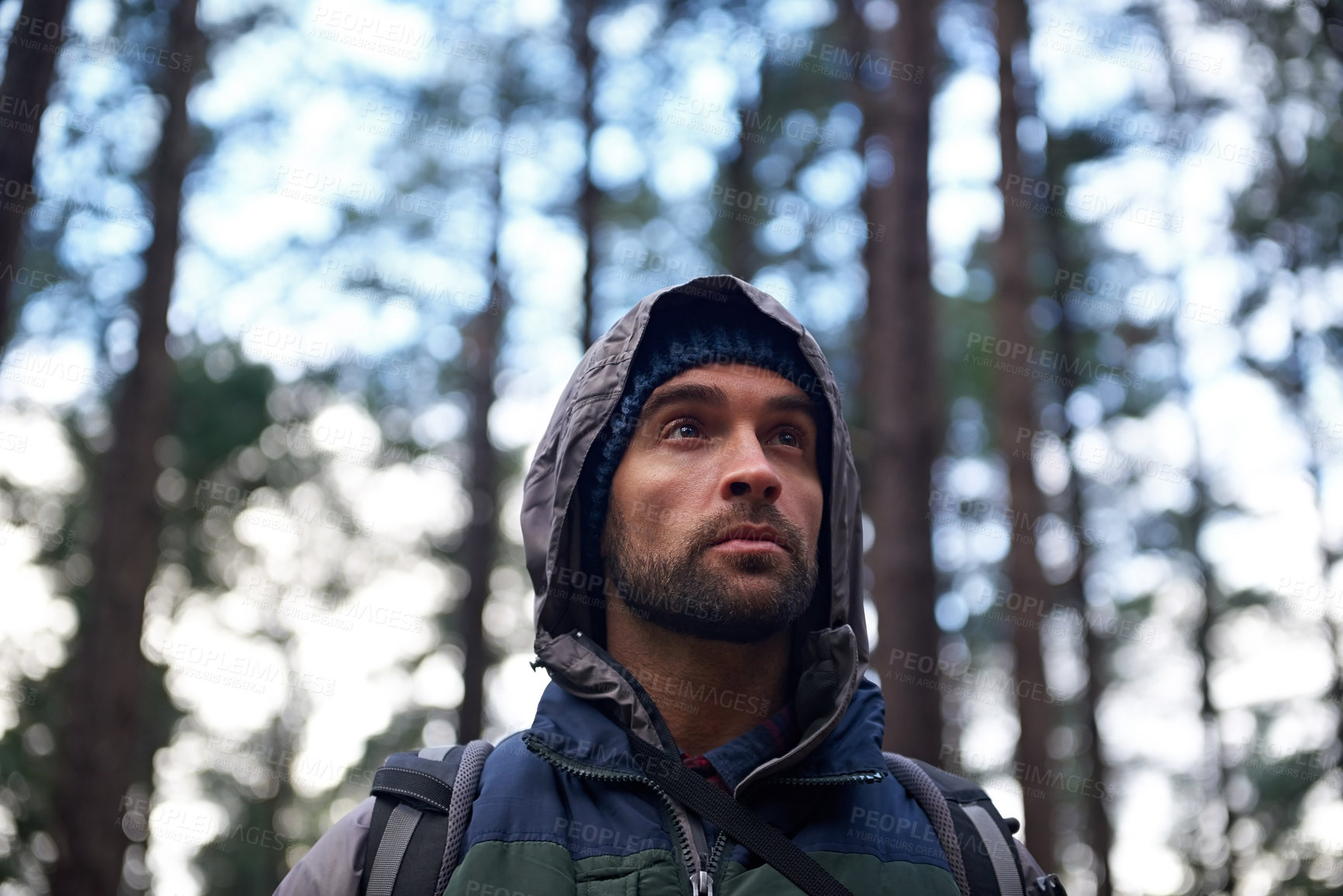 Buy stock photo Cropped shot of a handsome young man hiking in a forest