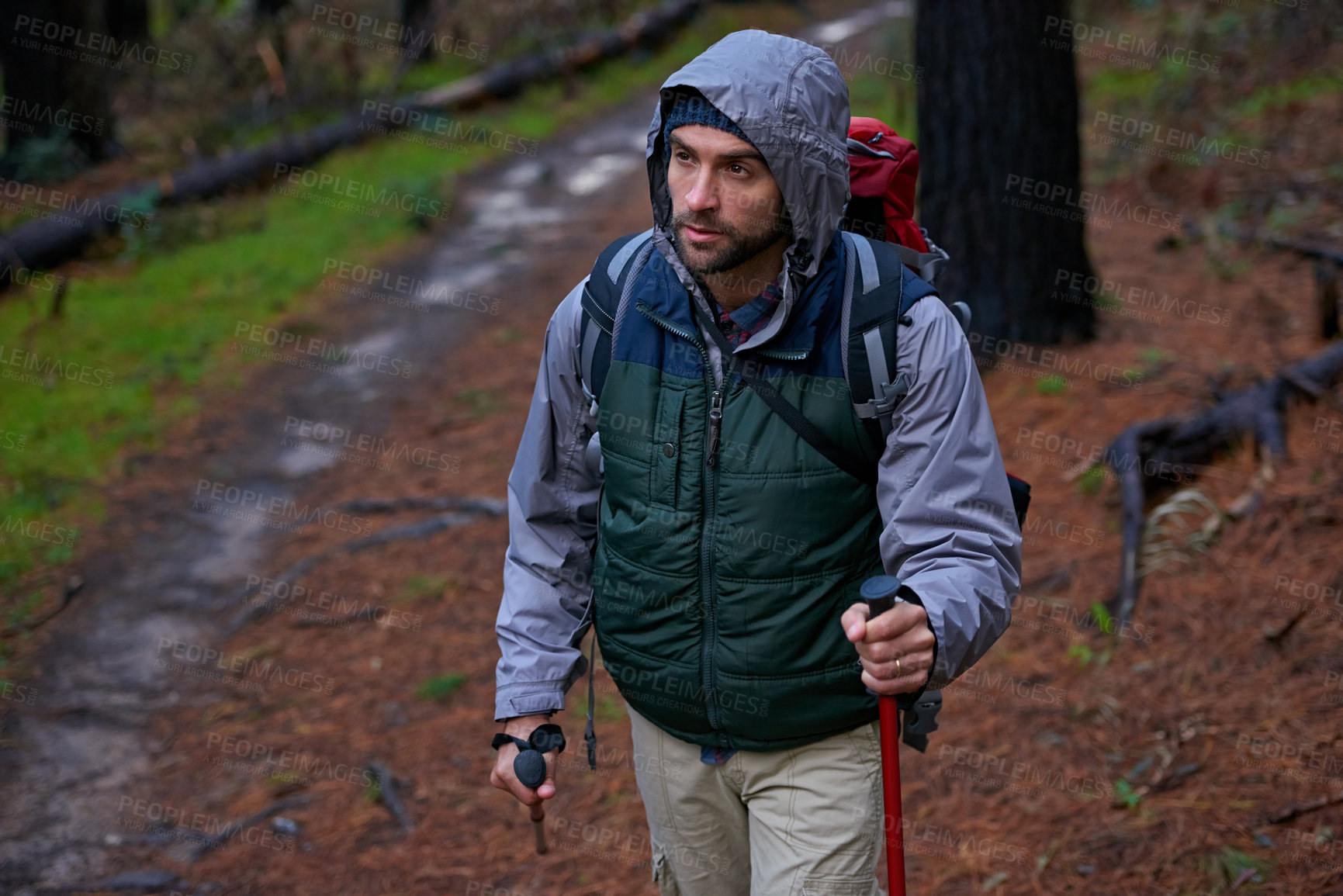 Buy stock photo Shot of a handsome man hiking in a pine forest using nordic walking poles