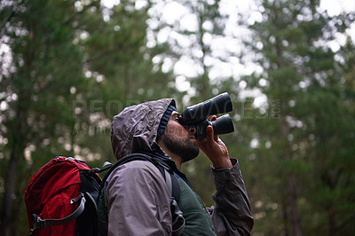 Buy stock photo Bird watching, woods and man with binocular, adventure and hiking with trees and peace with hobby. Person, forest or guy with activity or wellness with hiker or explore nature with journey or looking