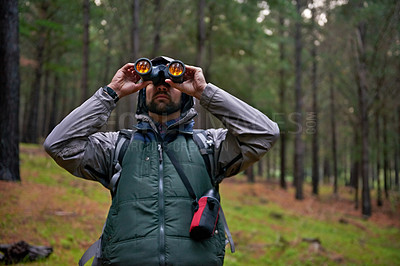 Buy stock photo Handsome man using his binoculars to scan the surrounding forest for bird life