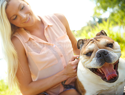 Buy stock photo Companion, friend or pet with woman and dog outdoor in park together for bonding, training or walk. Health, vitality or wellness with bulldog and owner in nature for summer activity or exercise