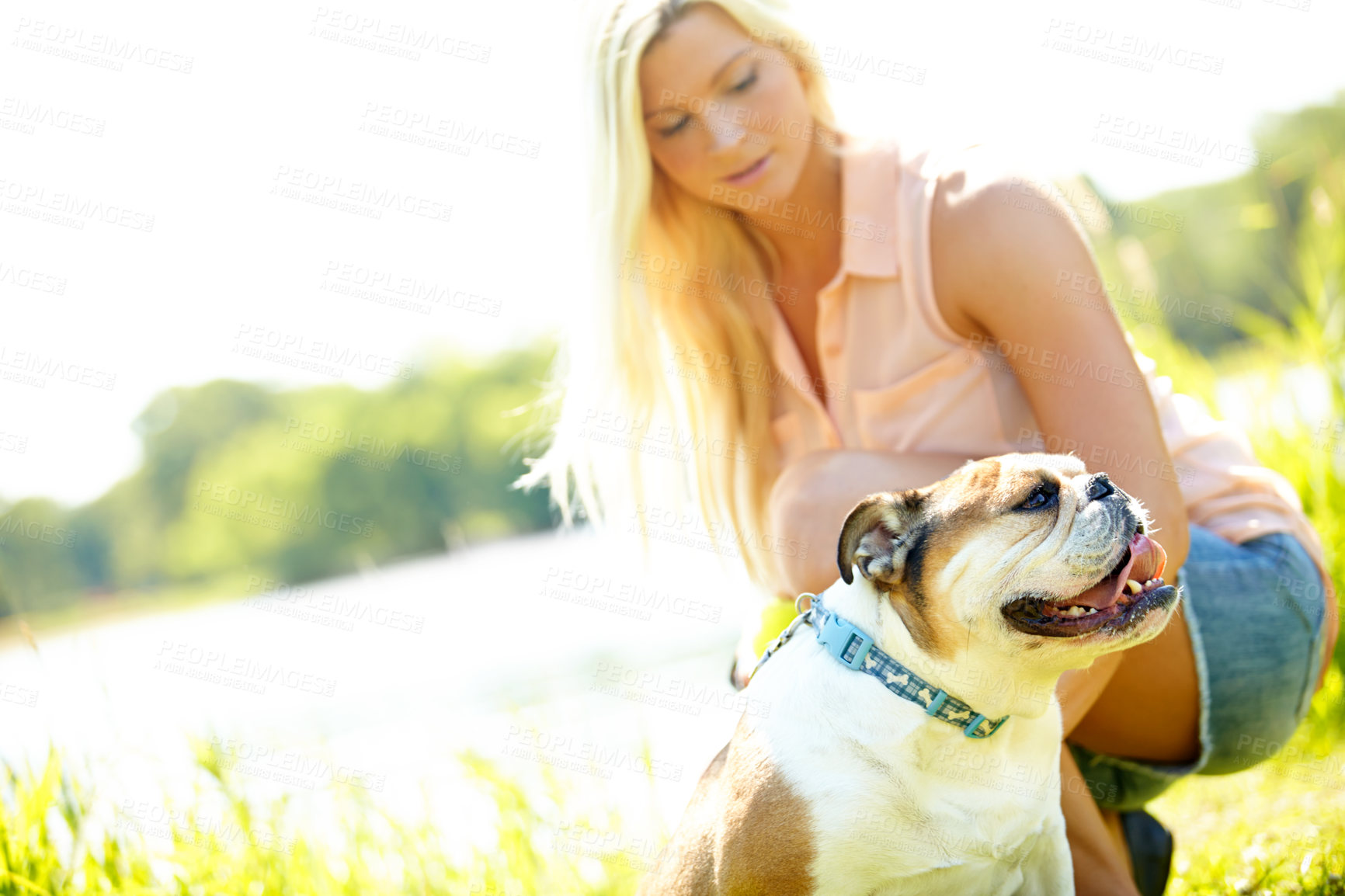 Buy stock photo A beautiful blonde putting a lead on her dog's collar in a park