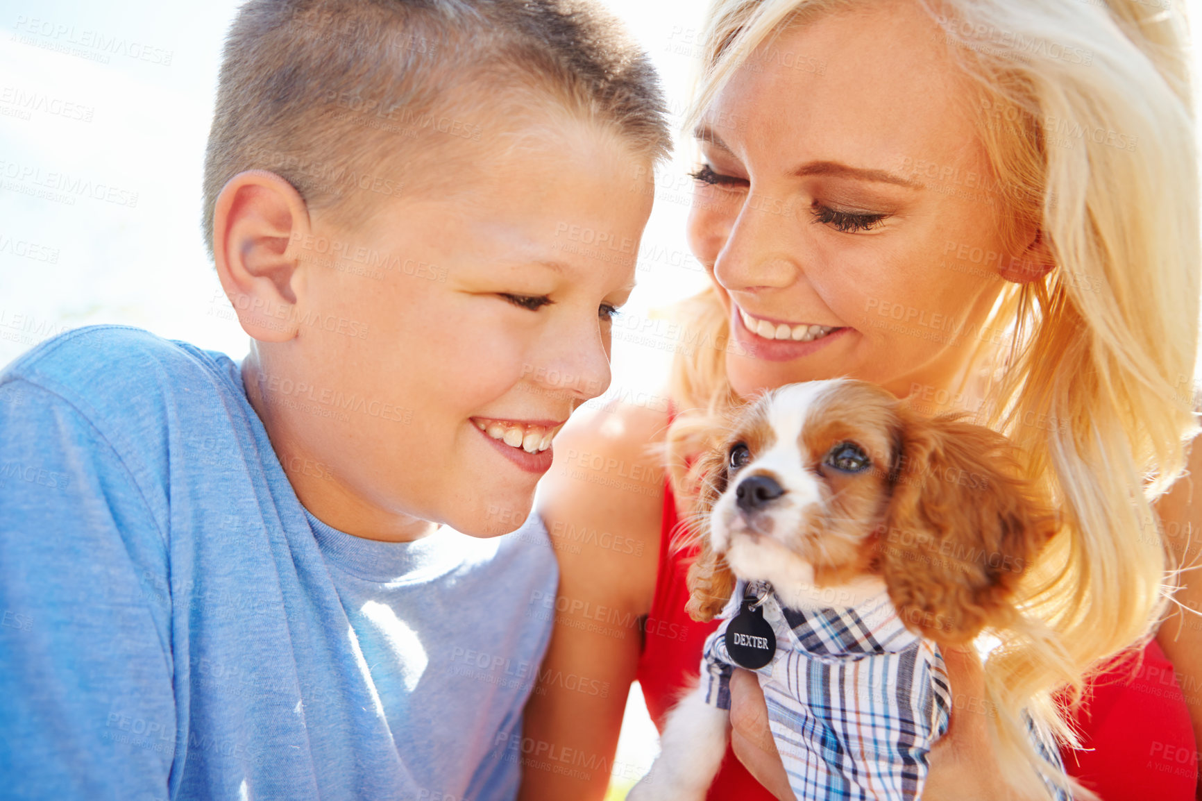 Buy stock photo Shot of a mother handing her son a puppy 