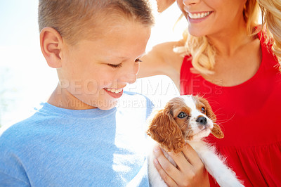 Buy stock photo Shot of a mother and her son with a puppy