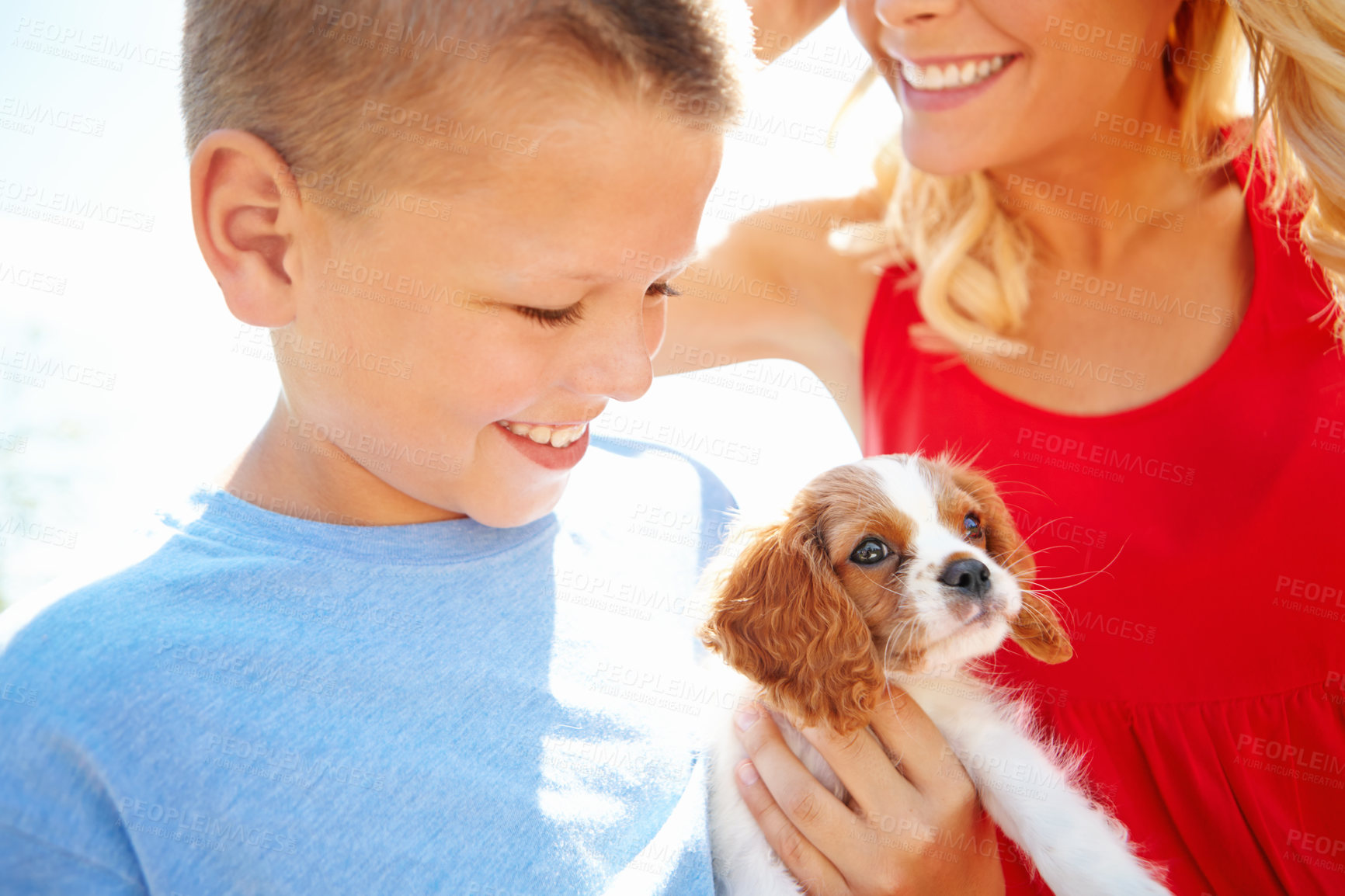 Buy stock photo Shot of a mother and her son with a puppy