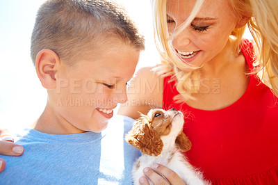 Buy stock photo Shot of a mother and her son with a puppy