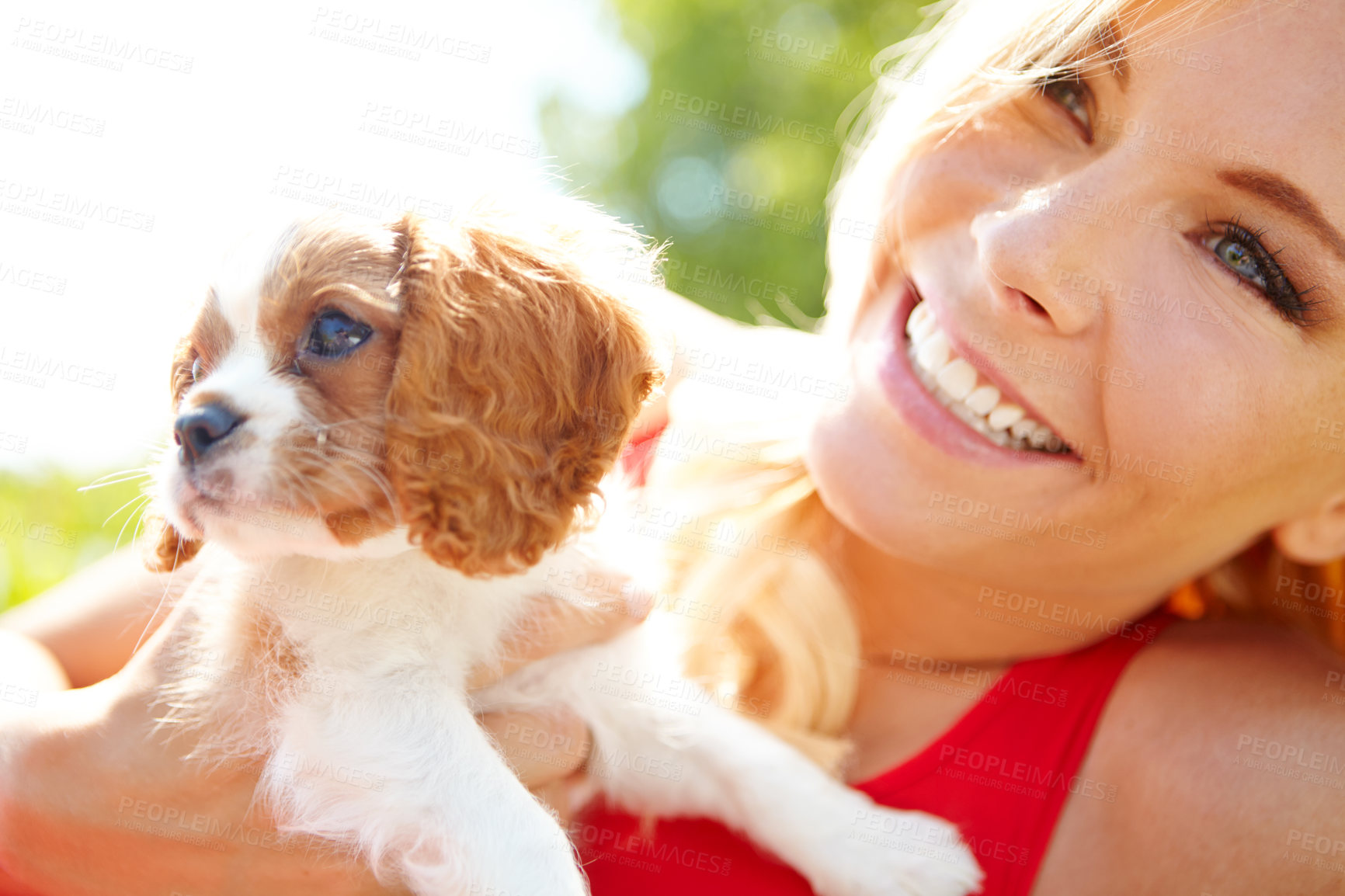 Buy stock photo Shot of a smiling woman holding a cute puppy while relaxing outside