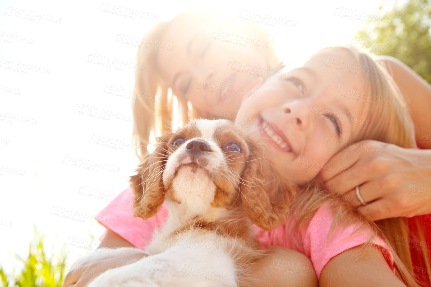 Buy stock photo Mother, girl and dog in nature after adoption, puppy care and bonding together with happiness. Flare, woman and child with pet animal for companion, share moment and connection by mockup space