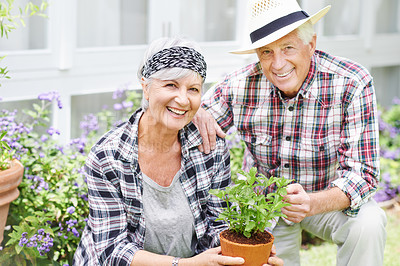 Buy stock photo A happy senior couple busy gardening in their back yard