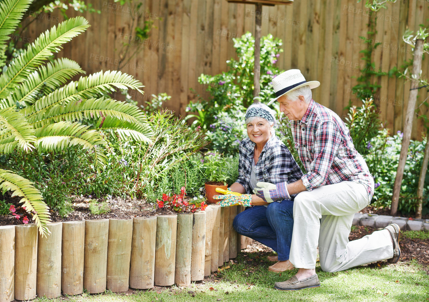 Buy stock photo Senior couple, happy and gardening outdoor for love, environment and sustainability in home. Man, woman and flowers outside for eco friendly, plant and zen for retirement or weekend in summer