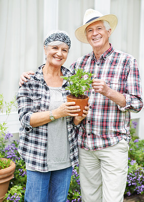 Buy stock photo A happy senior couple busy gardening in their back yard