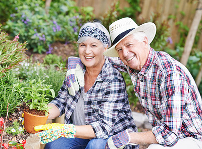Buy stock photo A happy senior couple busy gardening in their back yard