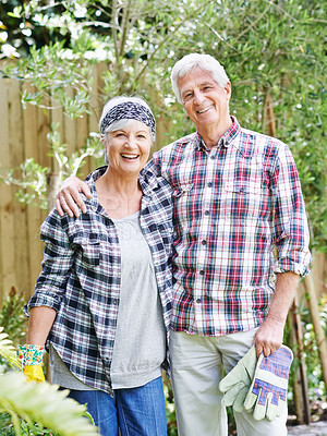 Buy stock photo Elderly, retired and couple with gardening as hobby in portrait for planting organic herbs for health. Senior, woman and man with smile for growth of peppermint tree as medicine for wellness at home