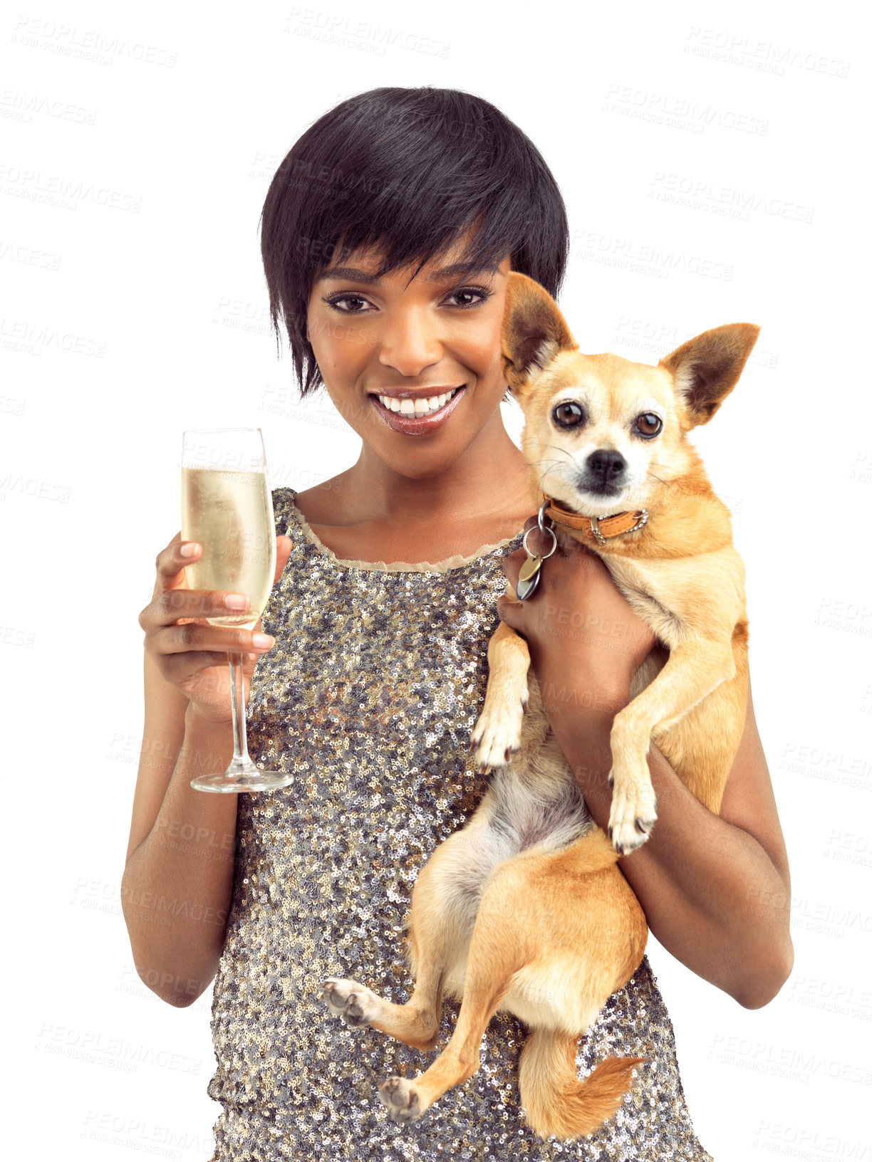 Buy stock photo Champagne portrait, dress and black woman with dog, sequins and model isolated on white studio background. African person, face and girl with pet, fashion and animal with stylish clothes and alcohol