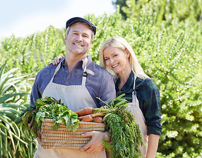 Buy stock photo A mature farmer couple holding a basket of freshly picked vegetables