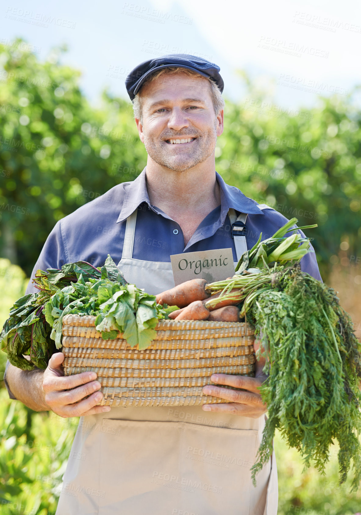 Buy stock photo Portrait, farmer or man with vegetables on countryside for harvesting, agriculture and organic food. Nature, mature male owner and small business with carrots, crops and growth in basket in Australia