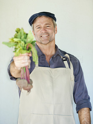 Buy stock photo Farming, fresh and portrait of man with vegetables for agriculture, harvest or organic produce by wall. Growth, cultivation and male person with apron for agro business, gardening or sustainability