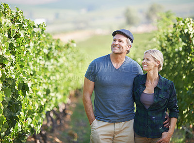 Buy stock photo A happy mature couple spending time in their vineyard