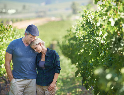 Buy stock photo Couple, vineyard and travel in countryside, marriage and field of grade and wine production. Vacation, anniversary trip and agriculture in Italy for romantic holiday, man and female person in scenery