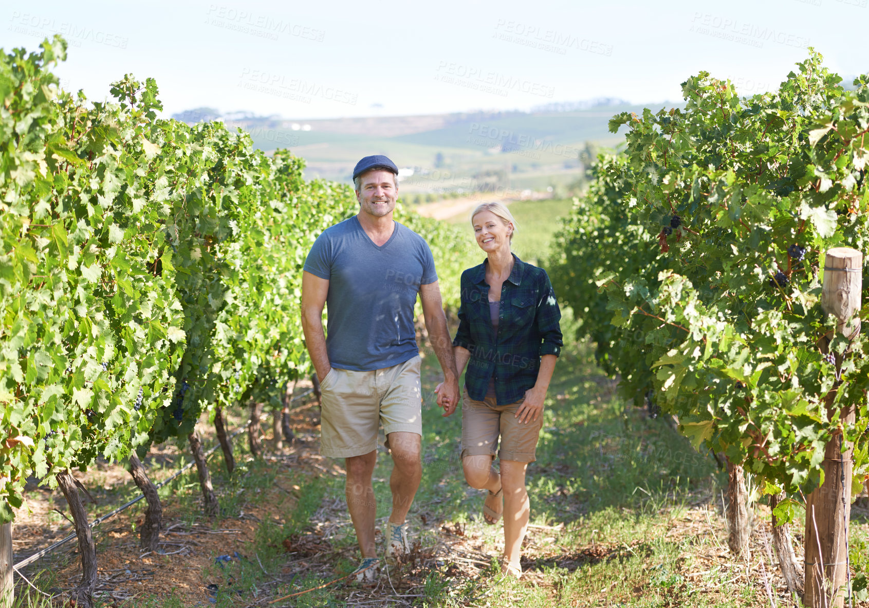 Buy stock photo Couple, vineyard and agriculture for mature people, walk or wine production in winery. Grapes, plants and relax for proud man and female person or owner, Italy or countryside for eco friendly crops