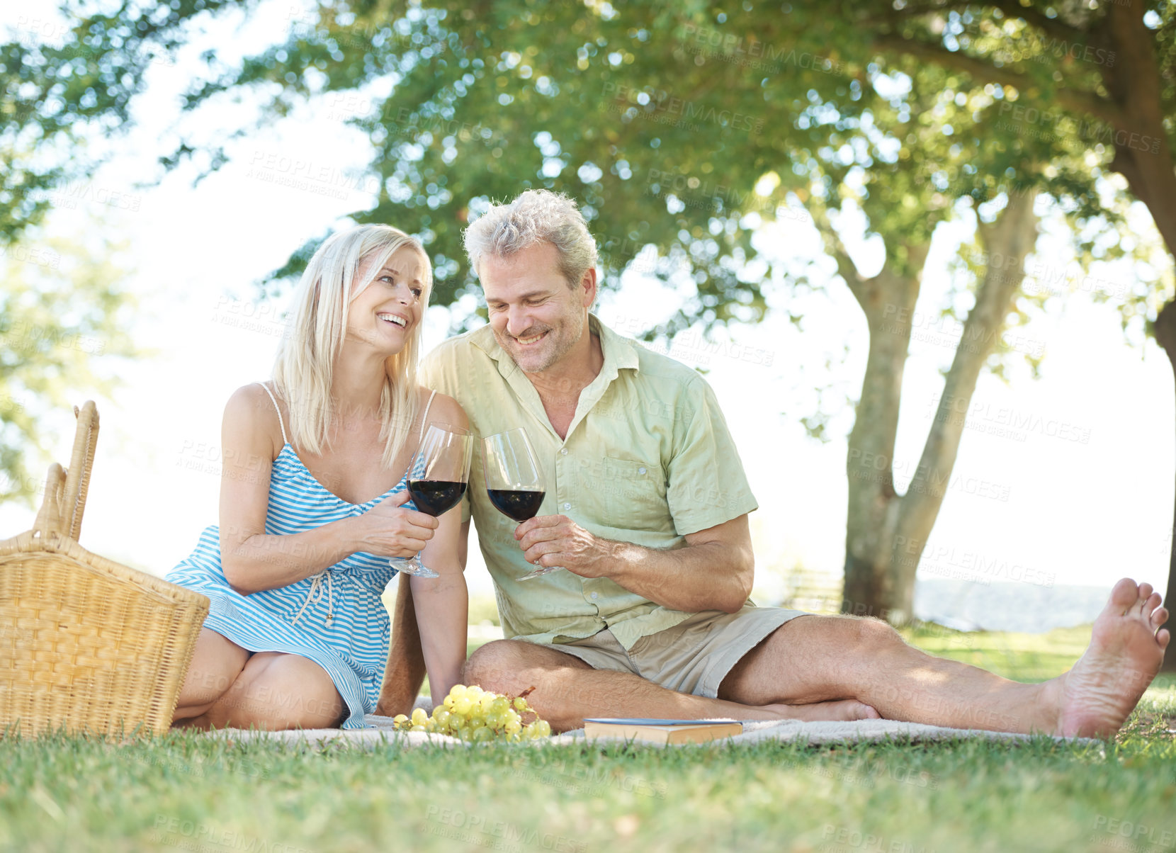 Buy stock photo Couple, happy and red wine with cheers on picnic for anniversary, vacation and adventure together. Man, woman and smile with toast at countryside for love, support or celebration of marriage in Italy