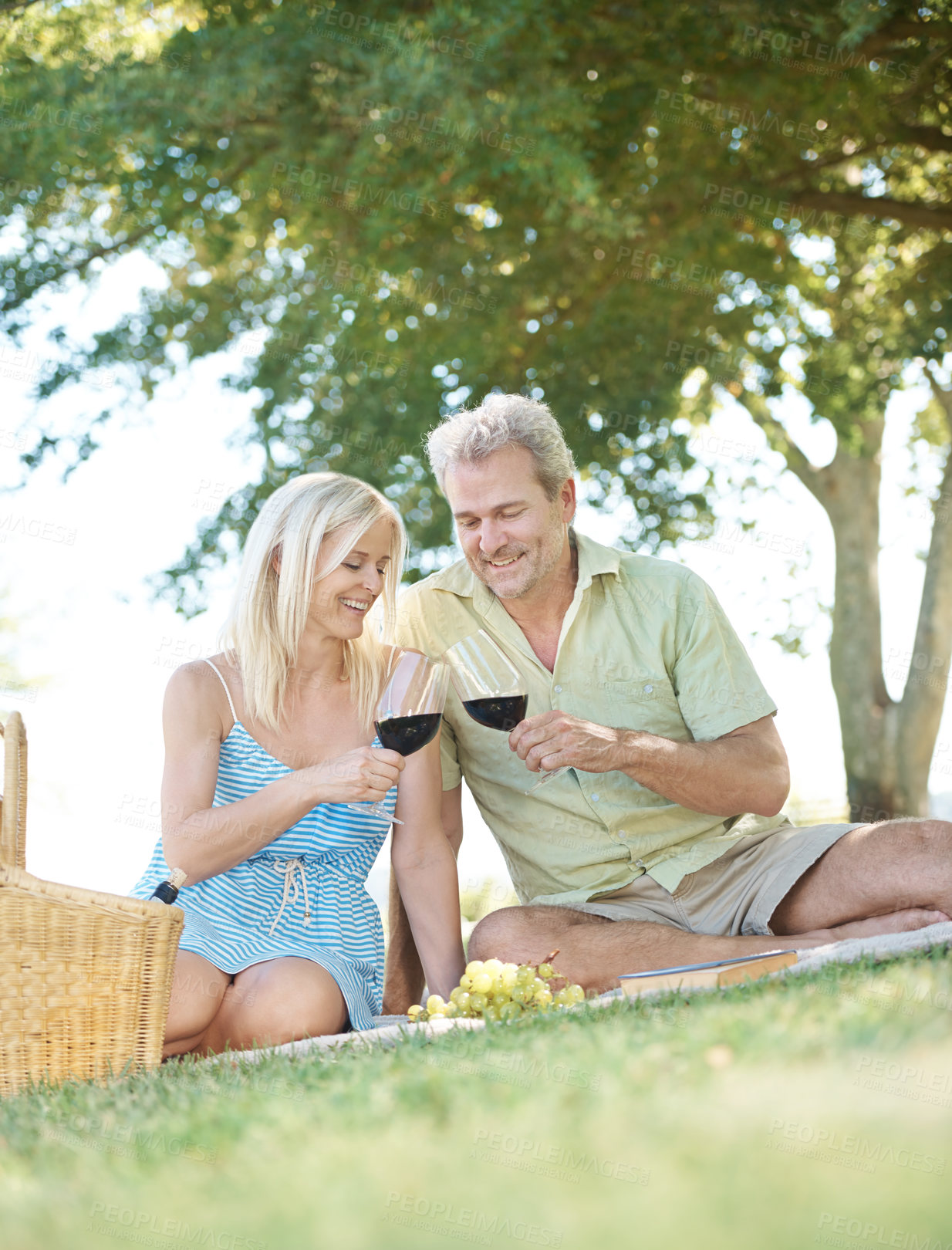Buy stock photo Couple, picnic and red wine with toast in park for holiday, adventure and celebration of love. Woman, man and smile with cheers at countryside for marriage, support and anniversary together in Italy