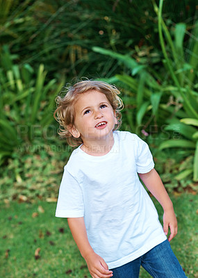 Buy stock photo Shot of a cute little boy standing in a garden looking up at the sky