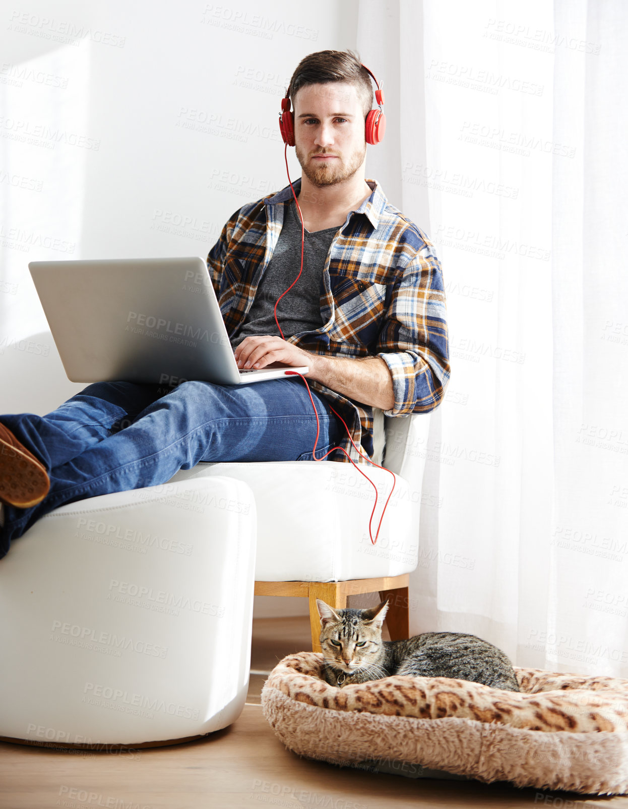 Buy stock photo Man, home and cat on laptop with headphones for editing videos as videographer with remote work. Male person, employee and serious on portrait as freelancer for audio, music and streaming service