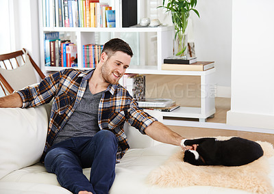 Buy stock photo Happy man, bonding and playing with cat on couch for pet love or care for animal companion in morning. Smile, male person or chill with kitten on sofa for fun together, support and affection in house