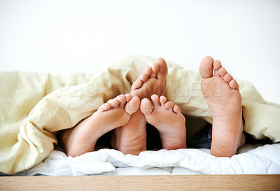 Buy stock photo Cropped shot of a couple's feet poking out from under the bedsheets. Love and tenderness .Loving married couple sleeping in bed together, man caressing woman's legs, closeup of feet under a blanket