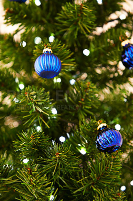 Buy stock photo Cropped shot of a Christmas tree