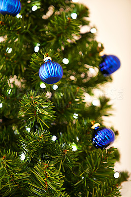Buy stock photo Cropped shot of a Christmas tree