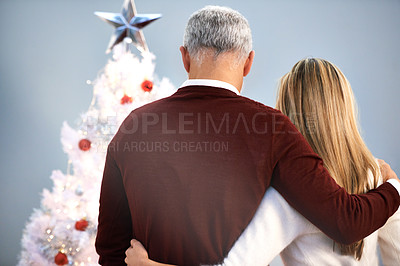 Buy stock photo Rearview shot of a father and daughter standing by their Christmas tree